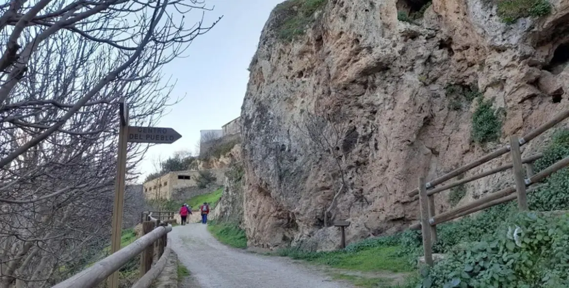 Продажа финки в Cuevas del Becerro 42