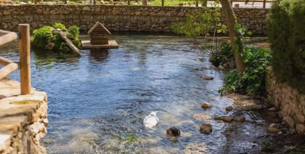 Продажа финки в Cuevas del Becerro 43