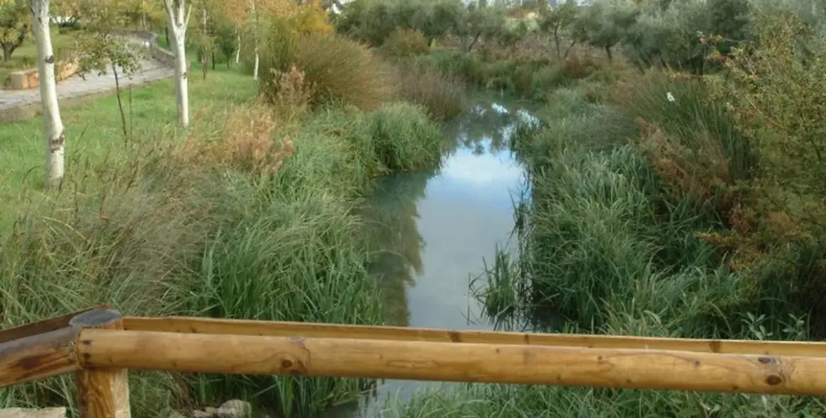 Продажа финки в Cuevas del Becerro 46