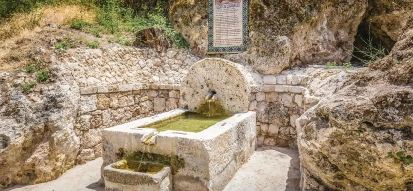 Продажа финки в Cuevas del Becerro 2