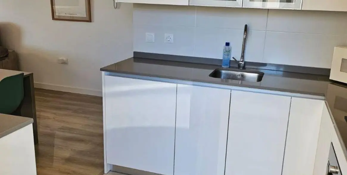 Long-term rent of penthouse in La Campana 15