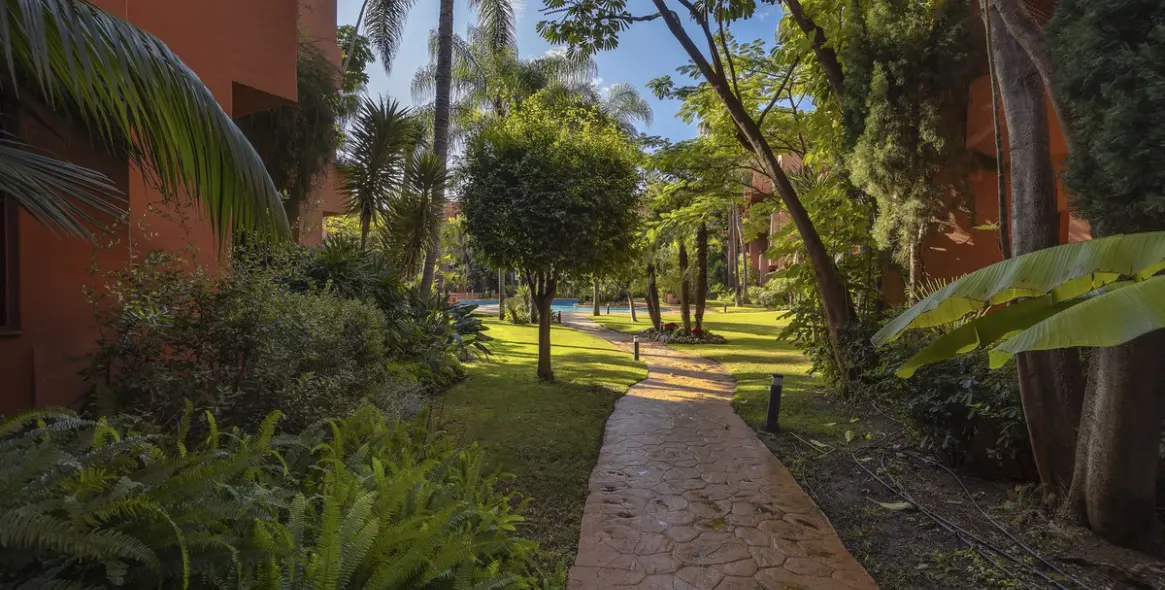 Sale of middle floor apartment in El Rosario 23