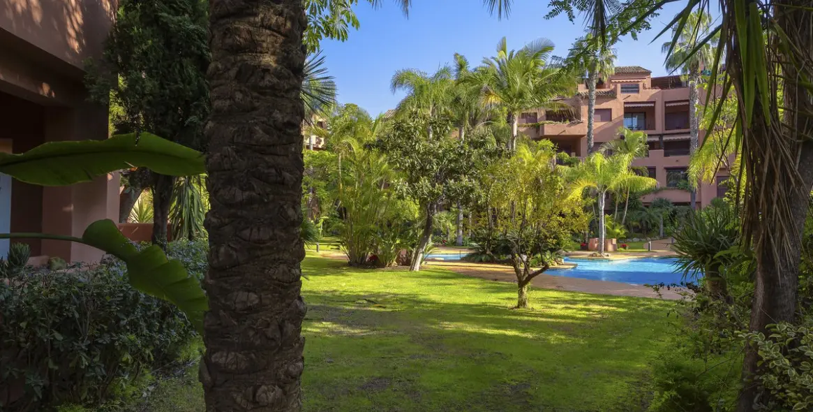 Sale of middle floor apartment in El Rosario 24