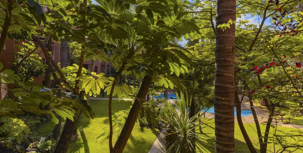 Venta de apartamento en planta media en El Rosario 11
