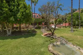 Image 42 thumb