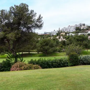 Sale of ground floor apartment in Los Arqueros