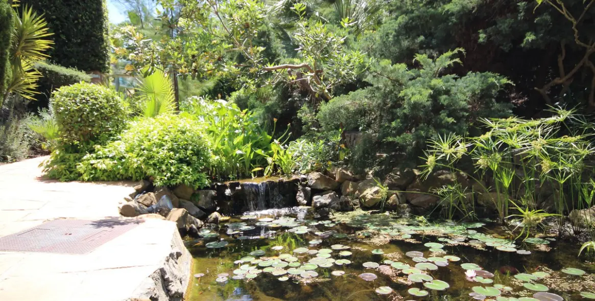 Продажа пентхауса в Riviera del Sol 18