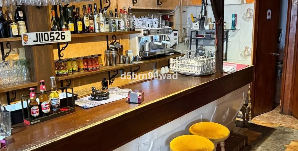 Sale of restaurant in Marbella 1