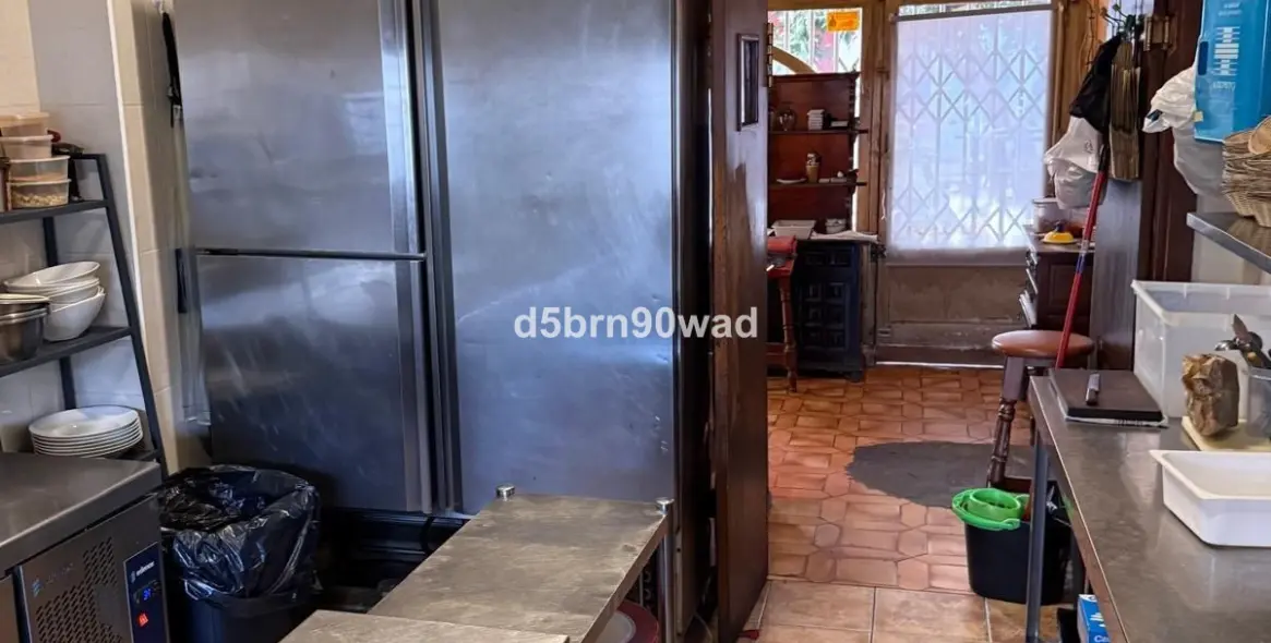 Sale of restaurant in Marbella 2