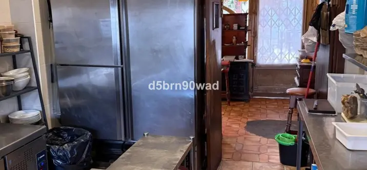 Sale of restaurant in Marbella 1