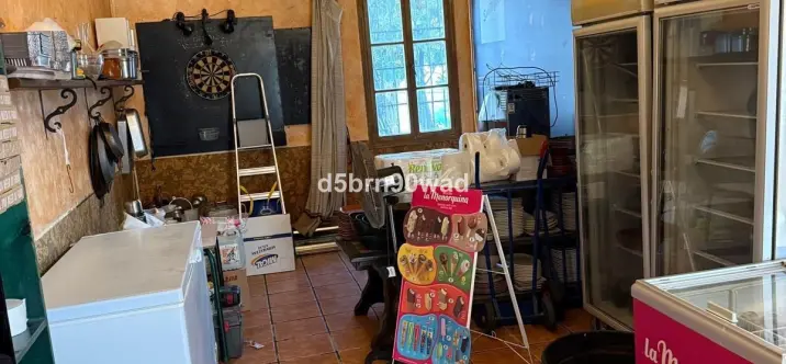 Sale of restaurant in Marbella 2