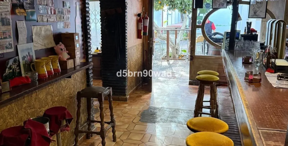Sale of restaurant in Marbella 9