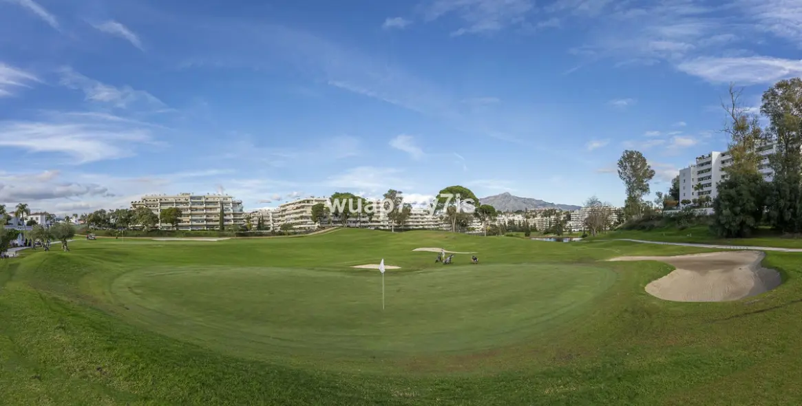 Продажа  отдельно стоящей виллы в Guadalmina Alta 60