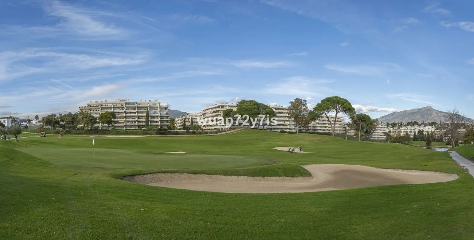 Sale of detached villa in Guadalmina Alta 58