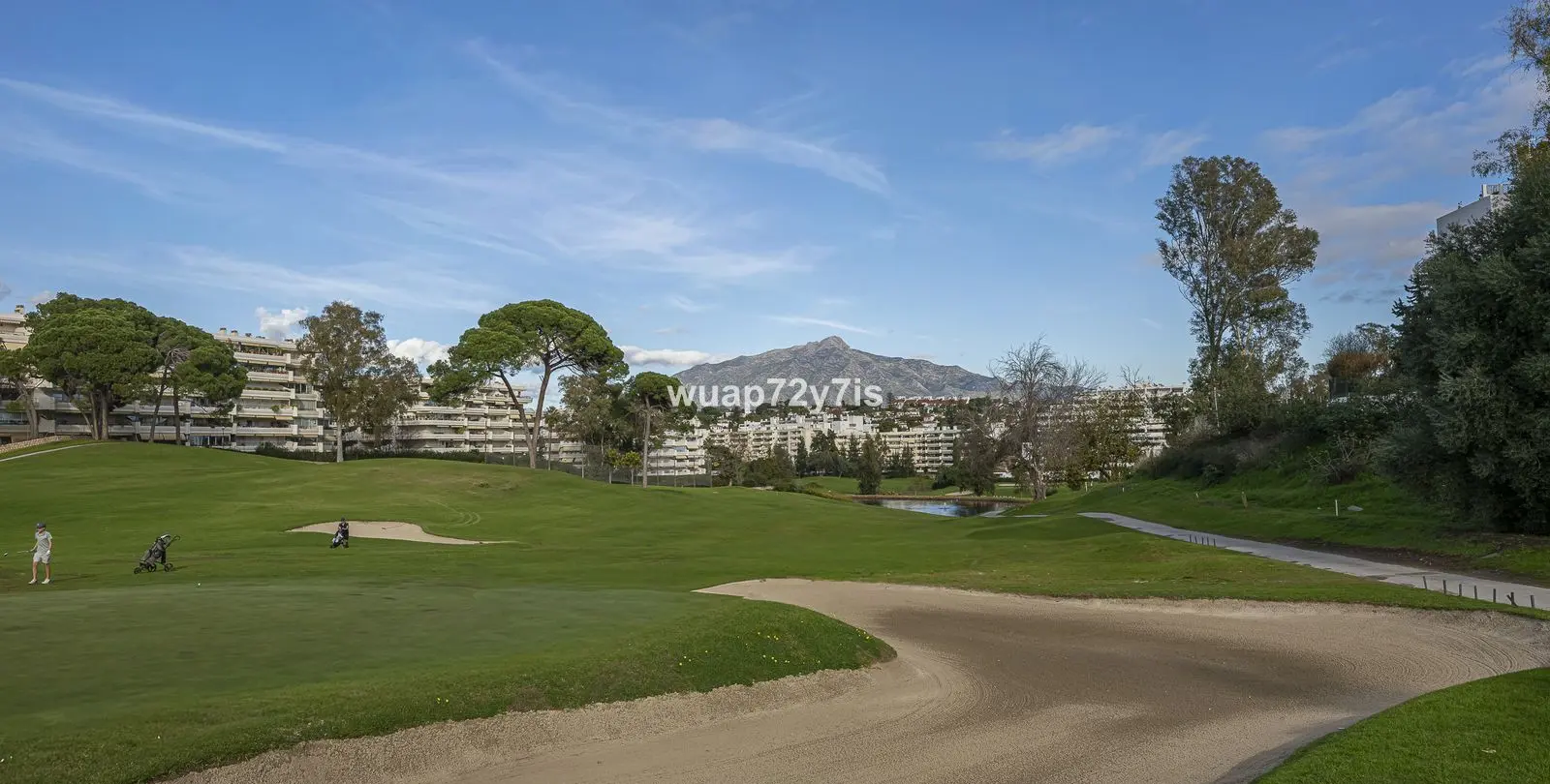 Sale of detached villa in Guadalmina Alta 59