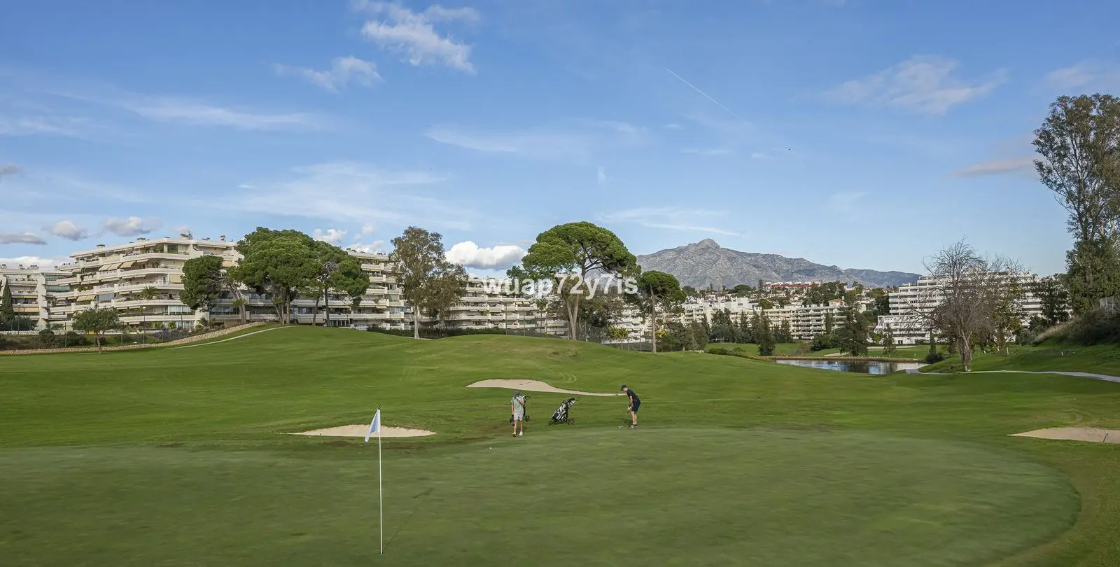 Sale of detached villa in Guadalmina Alta 61