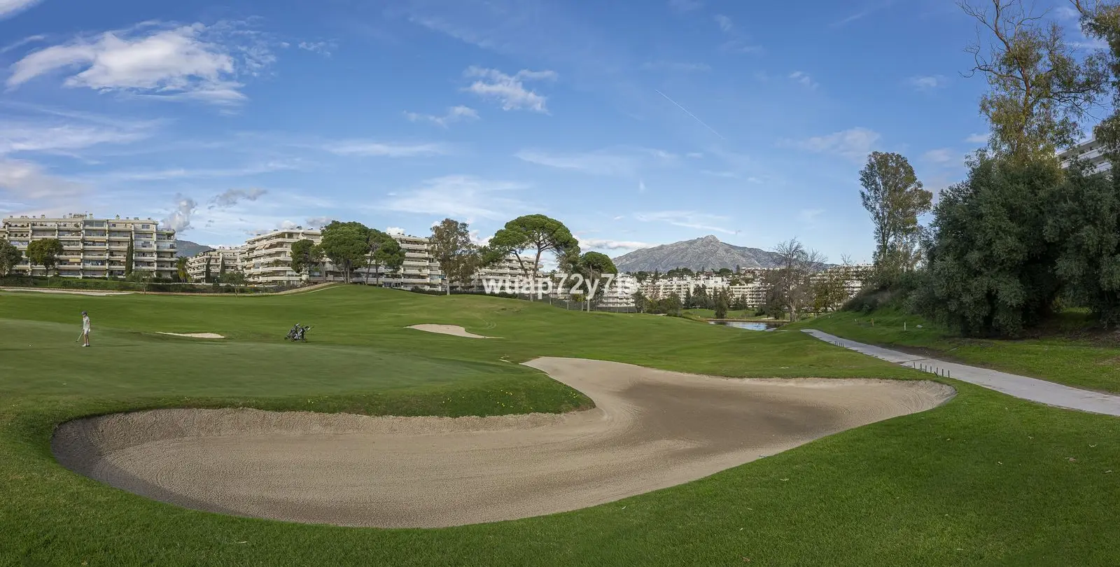 Sale of detached villa in Guadalmina Alta 62