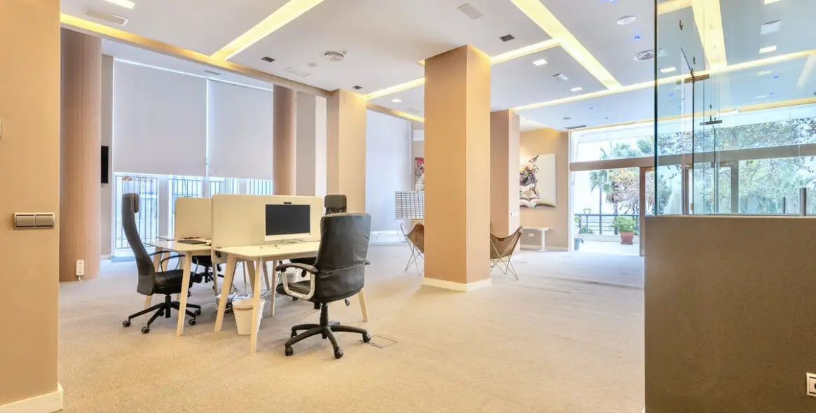 Long-term rent of office in Marbella 6