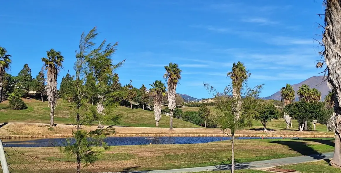 Продажа апартаментов на первом этаже в Doña Julia 2