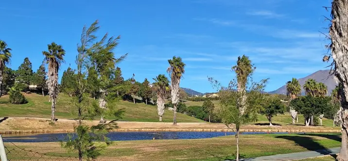 Sale of ground floor apartment in Doña Julia 1