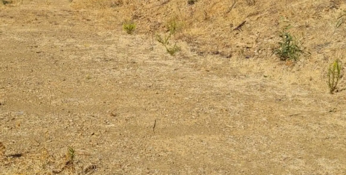 Sale of residential plot in Mijas Golf 10