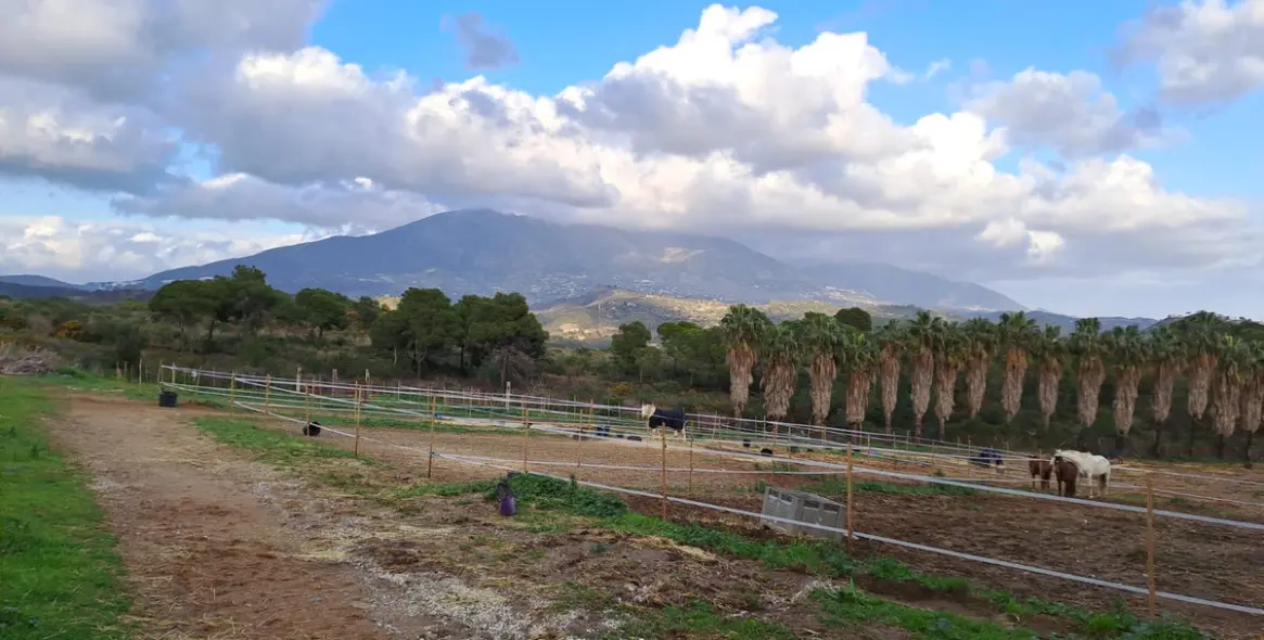 Sale of other in Campo Mijas 1