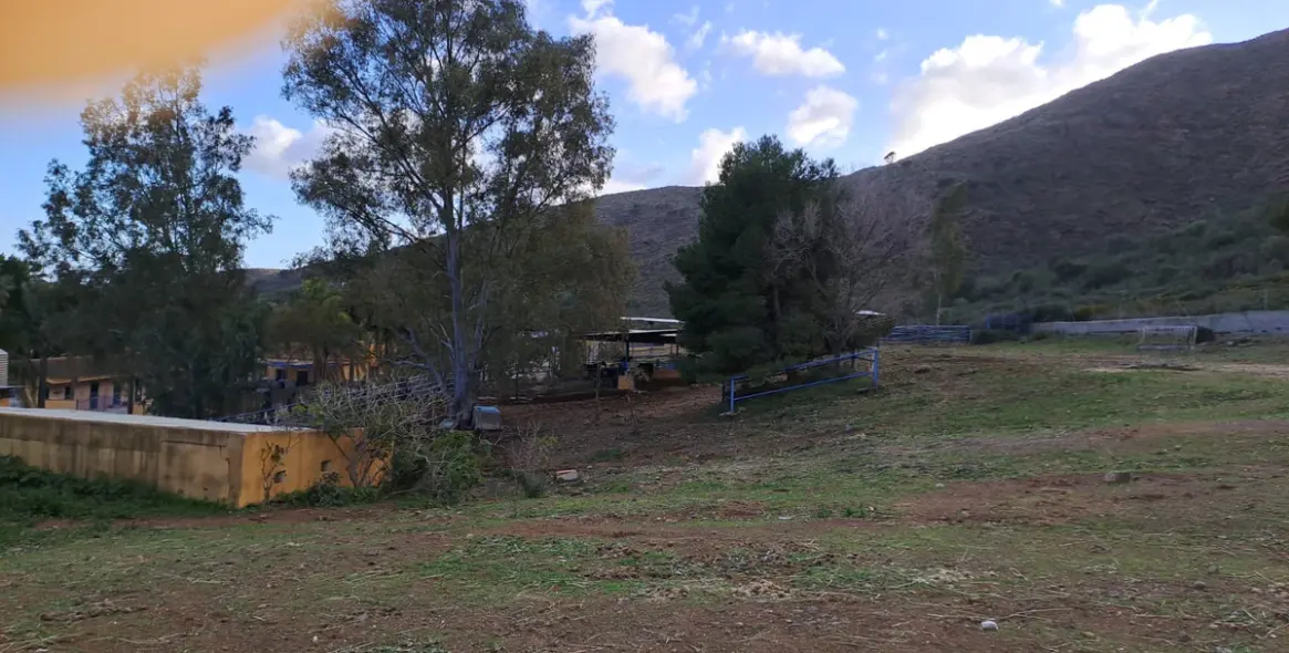 Sale of other in Campo Mijas 12