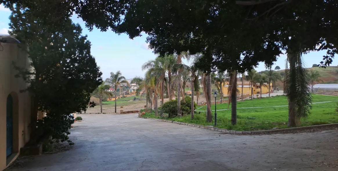 Sale of other in Campo Mijas 14