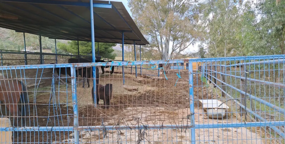 Sale of other in Campo Mijas 15