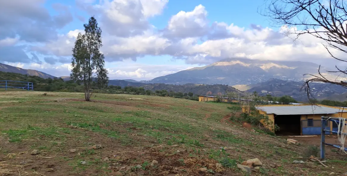 Продажа объекта в Campo Mijas 25