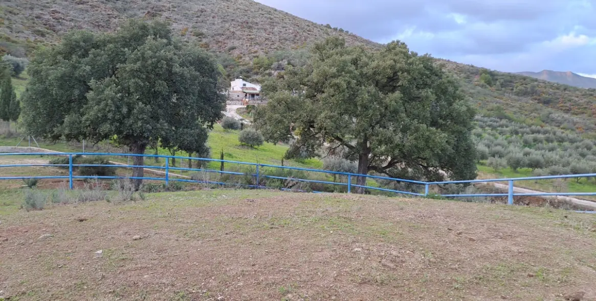 Продажа объекта в Campo Mijas 26