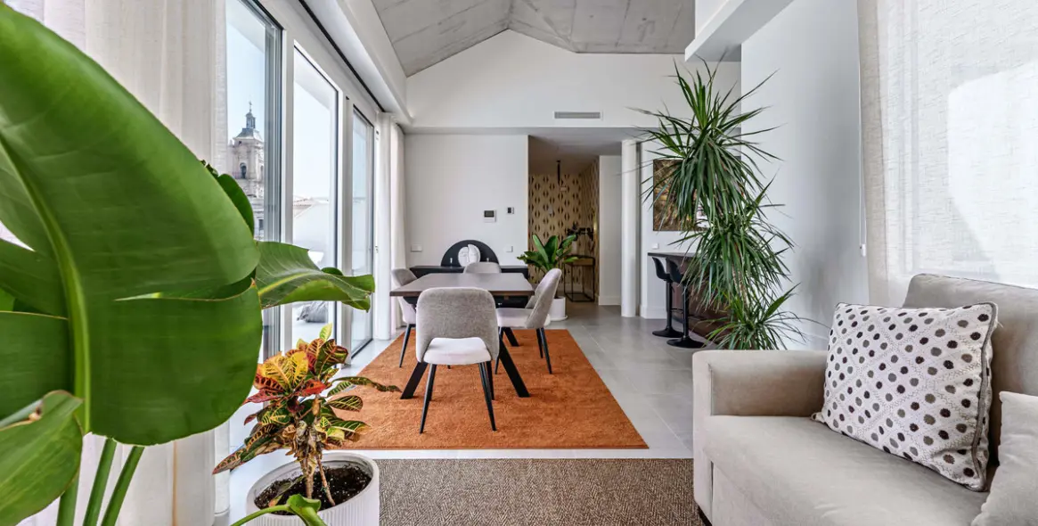 Sale of penthouse in Centro Histórico 5