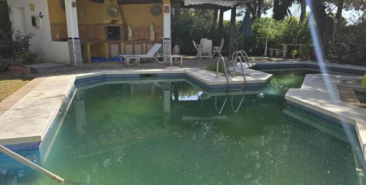 Sale of detached villa in Calahonda 6