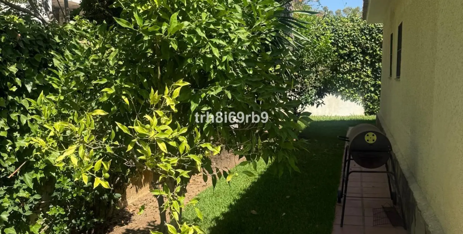 Sale of detached villa in Benamara 24