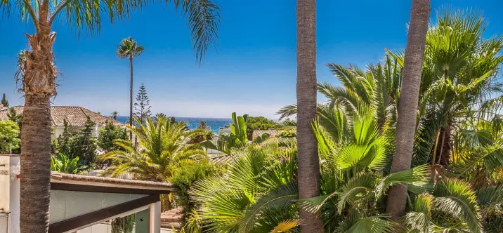 Sale of detached villa in Marbesa 4