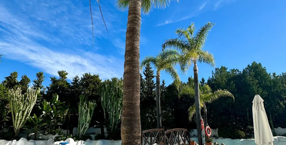 Долгосрочная аренда апартаментов на среднем этаже в Puerto Banús 44