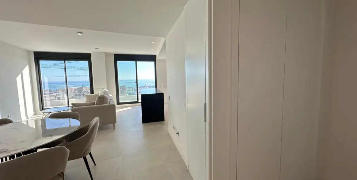 Long-term rent of penthouse in Selwo 17