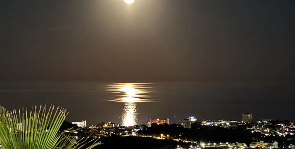 Sale of penthouse in Benalmadena 35