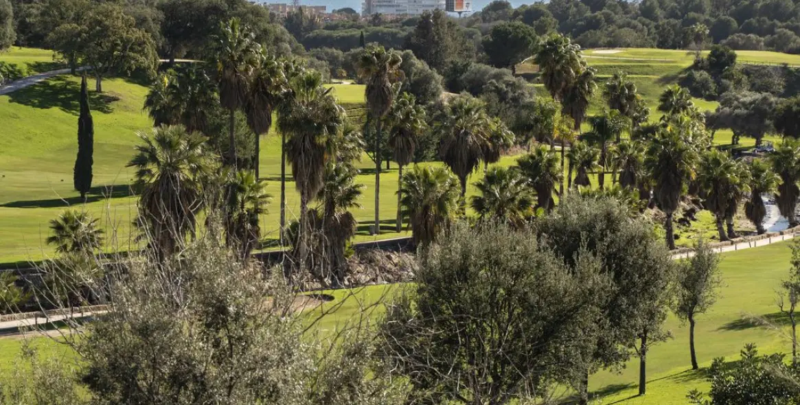 Продажа дома на две семьи в Marbella 47