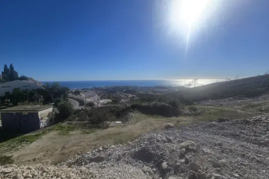 Image 4 thumb
