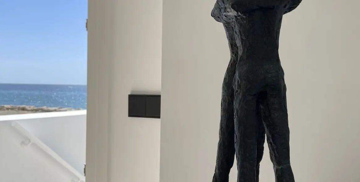 Краткосрочная аренда дома на две семьи в Estepona 30