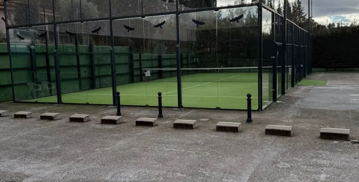 Продажа бизнеса в Ronda 9