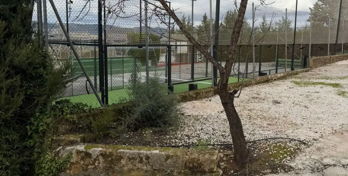 Sale of business in Ronda 32