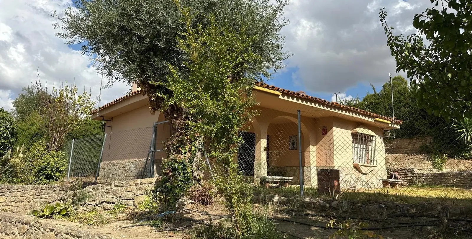 Sale of business in Ronda 5