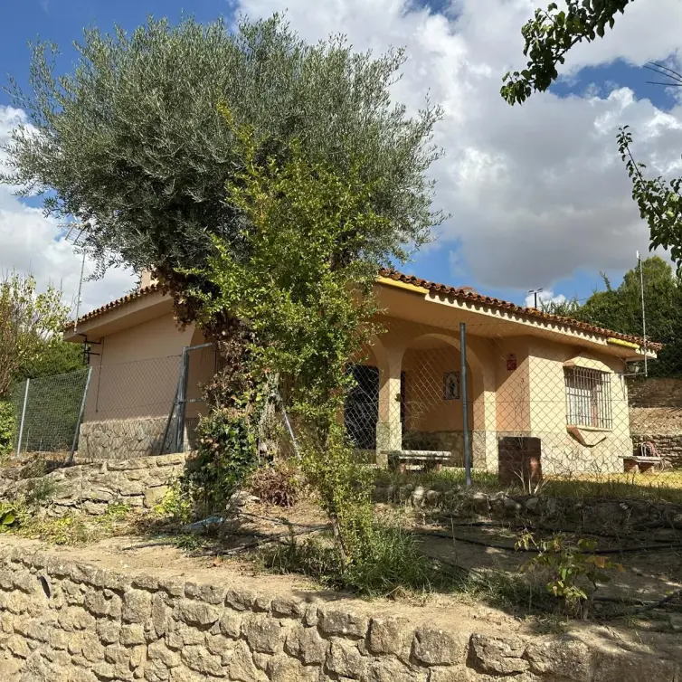 Продажа бизнеса в Ronda