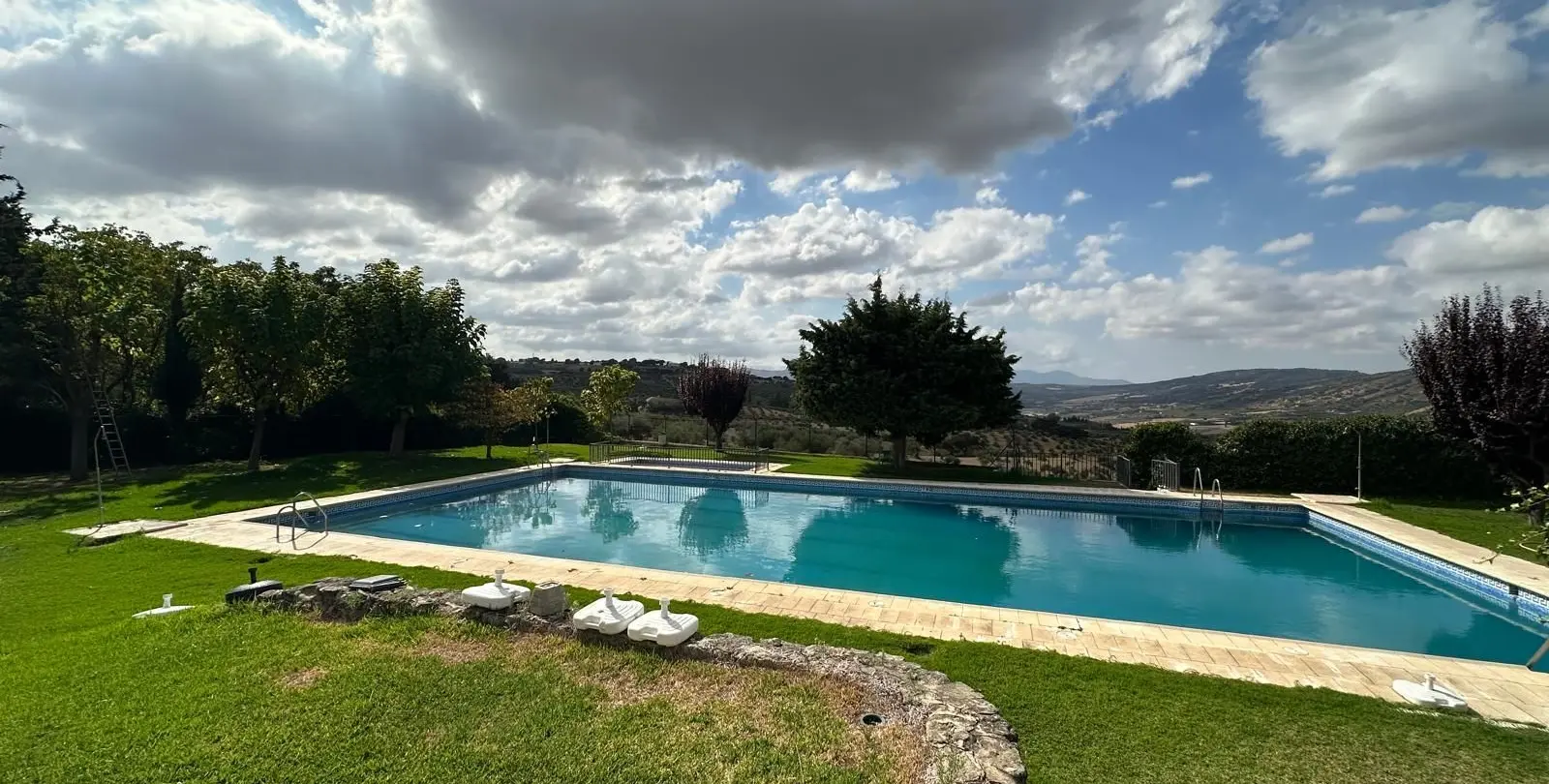 Sale of business in Ronda 21