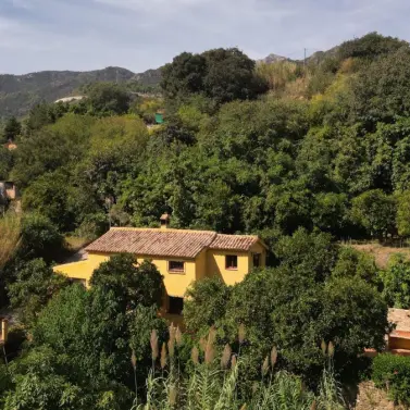 Venta de finca - cortijo en Ojén