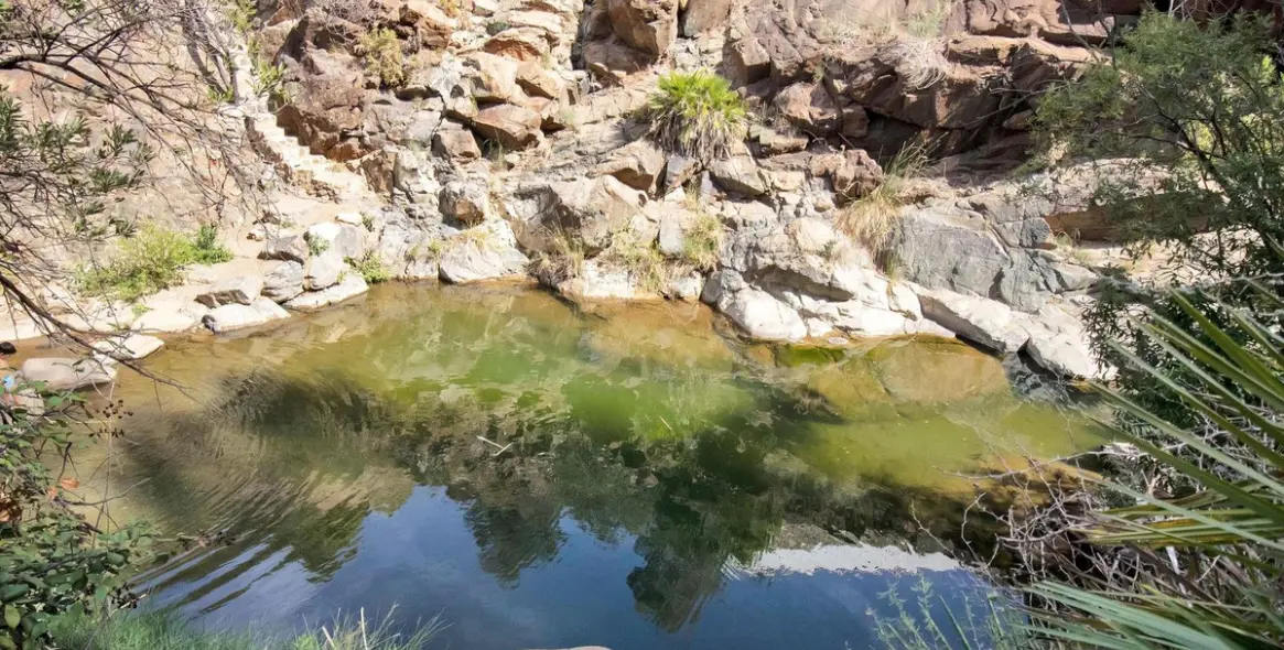 Venta de finca - cortijo en Ojén 4