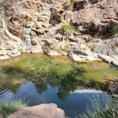 Venta de finca - cortijo en Ojén