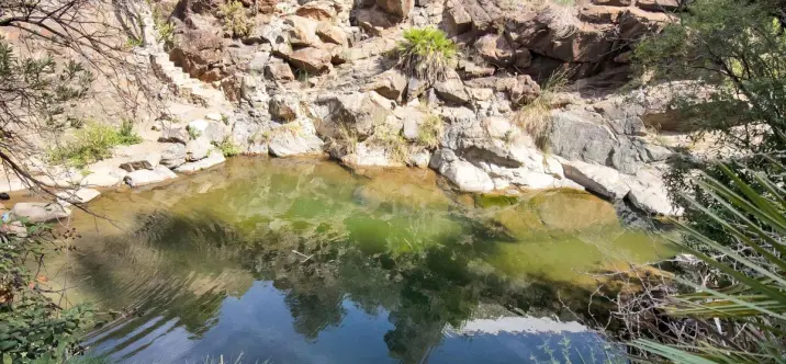 Venta de finca - cortijo en Ojén 3